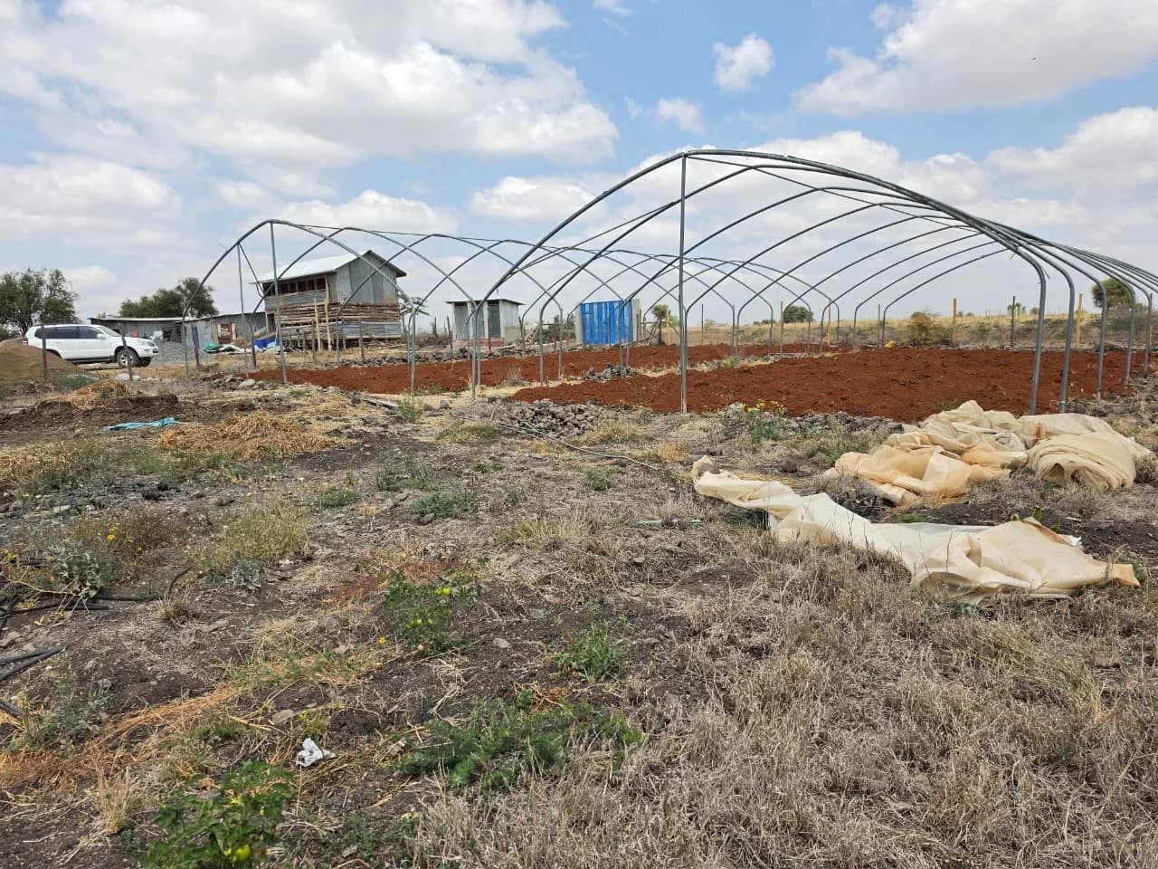 A greenhouse tunnel frame going up