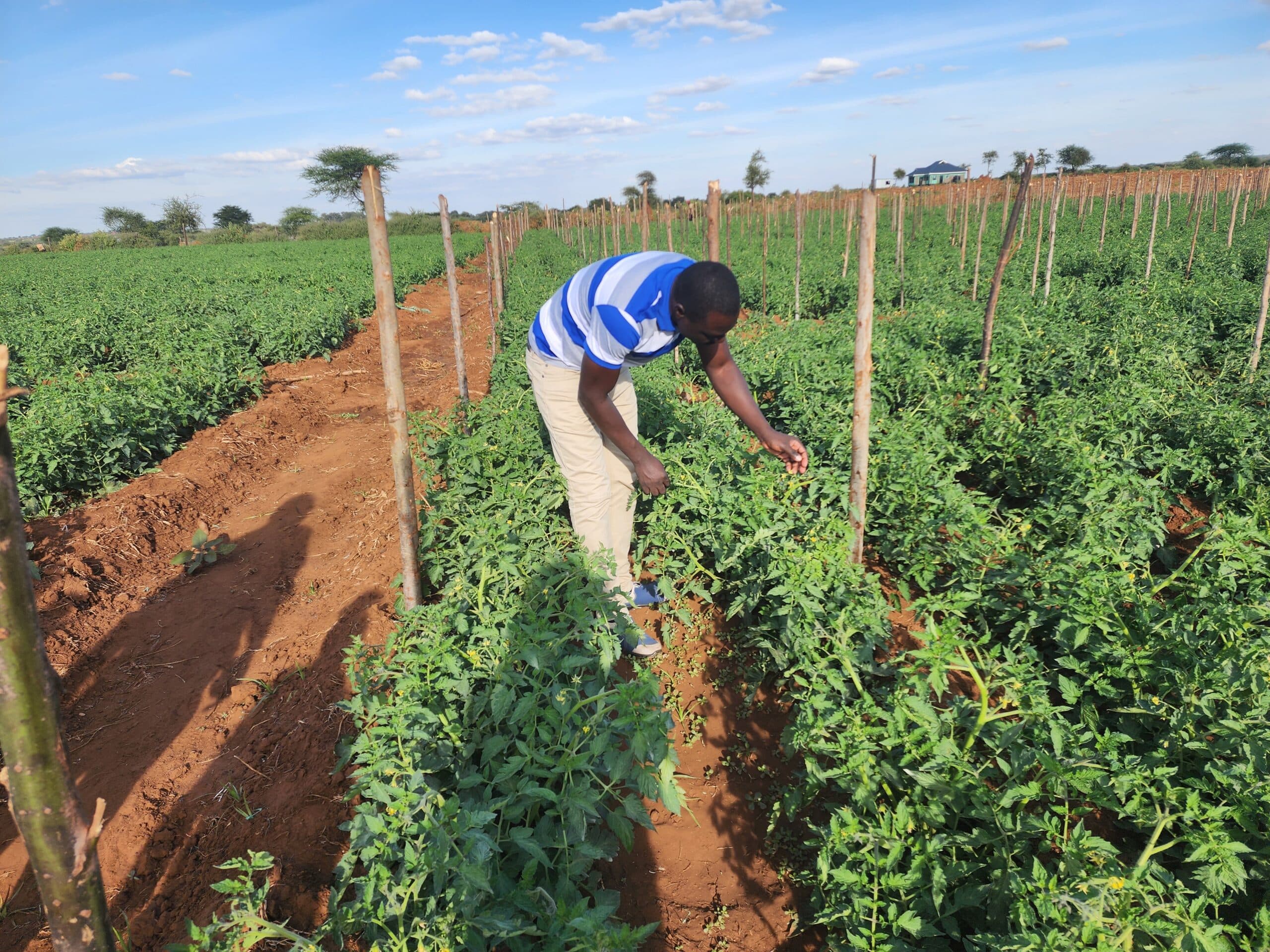 Kilimo Hakika field day, June 2024