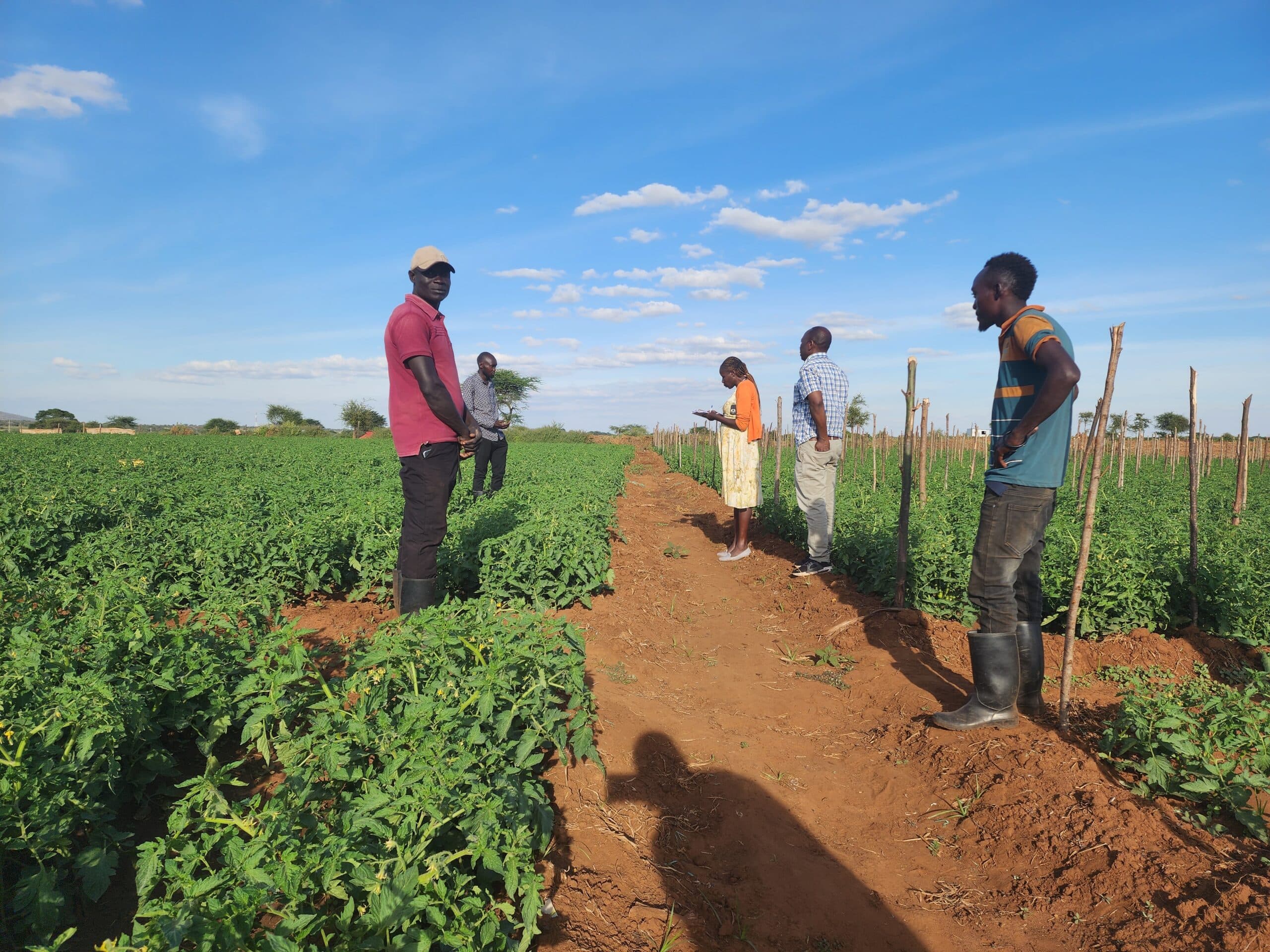 Kilimo Hakika field day, June 2024