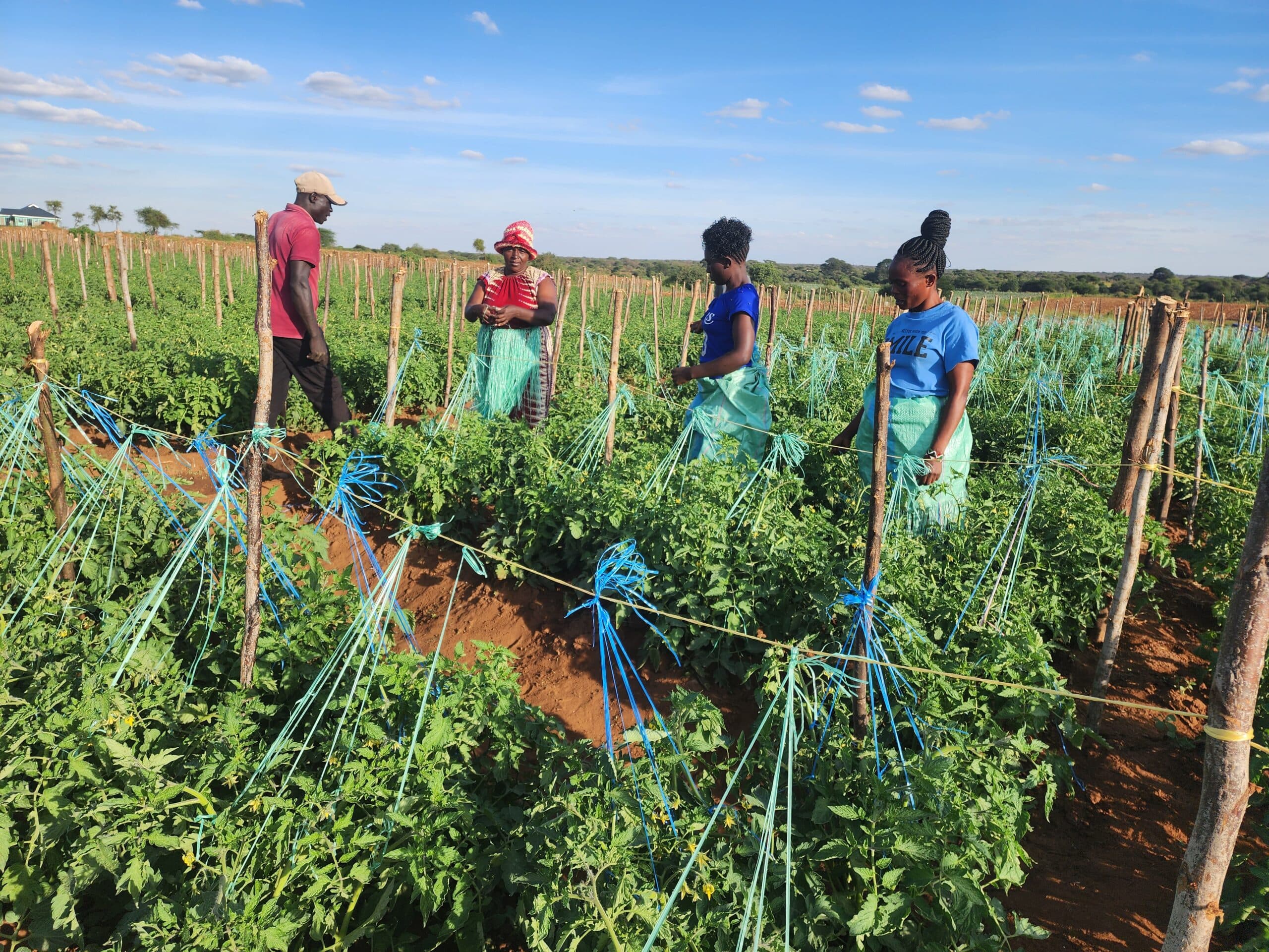 Kilimo Hakika field day, June 2024