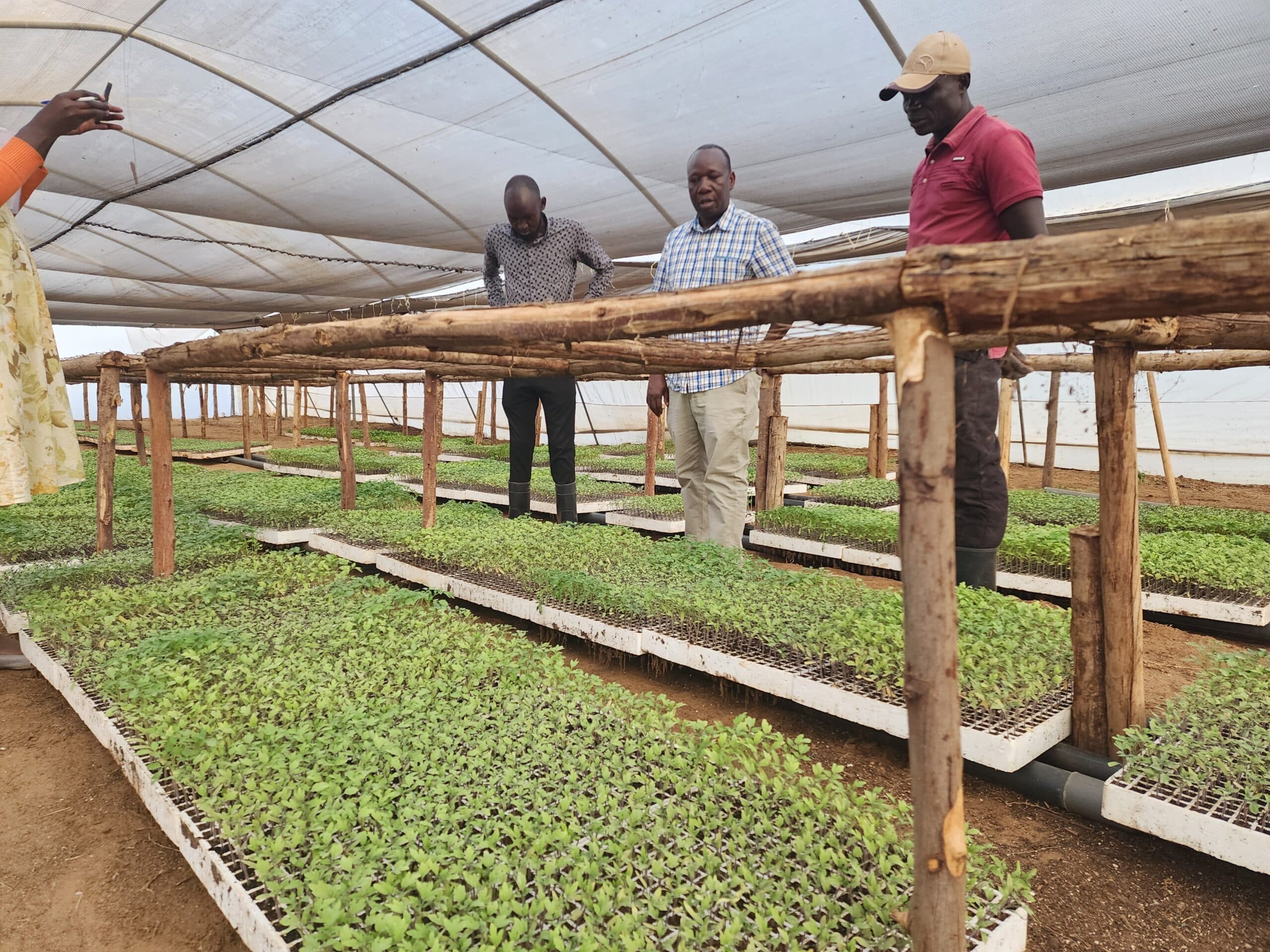 Kilimo Hakika field day, June 2024